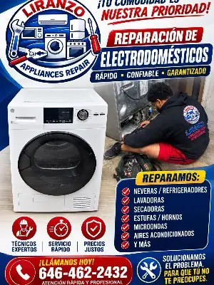 Liranzo Appliance Repair project photo 16