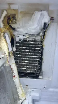 Liranzo Appliance Repair project photo 19
