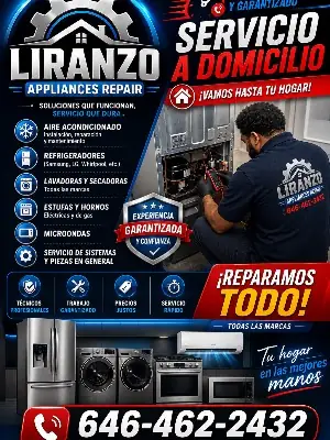 Liranzo Appliance Repair project photo 20